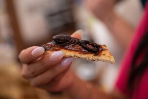 Festival hrane od insekata u Meksiku