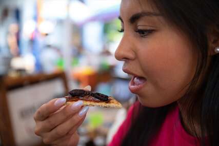 Festival hrane od insekata: Na meniju razne “đakonije”, jedu se CRVI, MRAVI, ŽOHARI (FOTO)