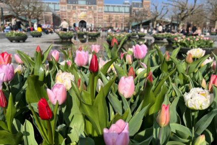 Festival tulipana u Amsterdamu