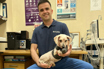Veterinar spasao psa
