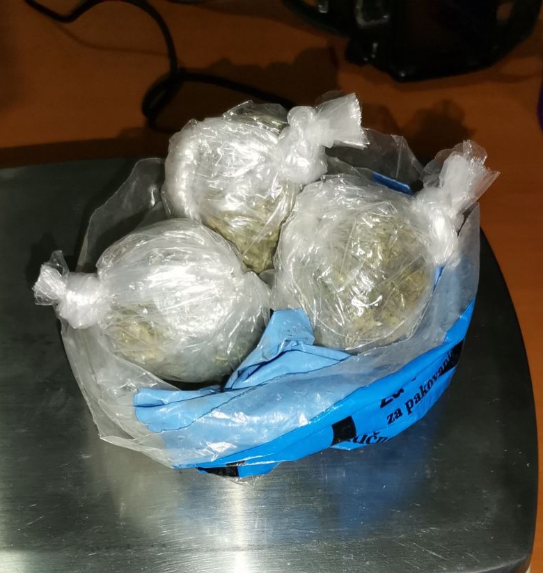ZAPLENJENA DROGA