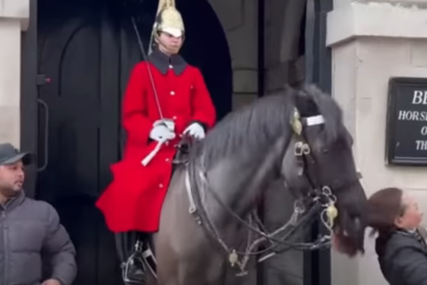 Šta se desi kad ne čitate upozorenja: Konj Kraljeve garde jednu turistkinju počupao, a drugu udario glavom (VIDEO)