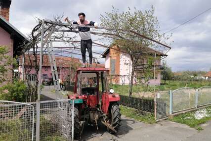 Snalažljivost je pola uspjeha: Orezivanje vinove loze sa traktorske kabine u Vrbaškoj (FOTO)