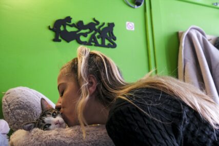 Neobični kafić u Briselu: Za 6 godina udomili 200 mačaka (FOTO)