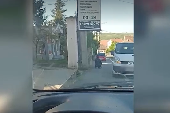 Kinez krade haskija