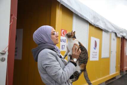 Nije htjela da je napusti: Mačka koja je preživjela razorni zemljotres, postala prava maskota kontejnerskog naselja u Turskoj (FOTO)