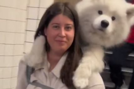 Parola "snađi se": Ona svakog dana nosi svog psa od 23 kilograma, kako bi izbjegla stroga pravila u javnom prevozu (VIDEO)