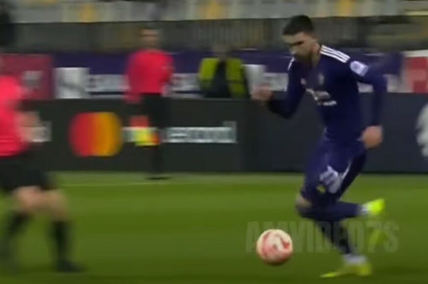Zan Vipotnik