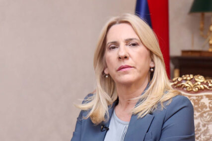 Cvijanović: Ustavni sud treba da se reformiše, to bi bio pravi doprinos stabilnosti BiH