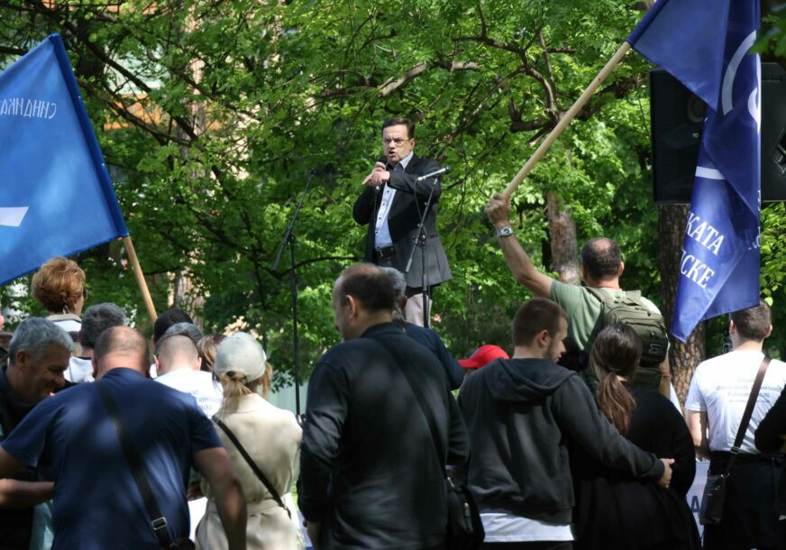 prvomajski protest u parku mladen stojanović danko ruzicic