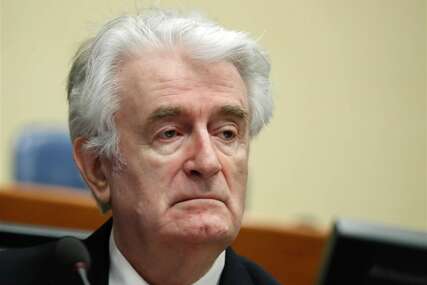 Porodica Radovana Karadžića tužila SAD zbog sankcija "Nije pošteno da neko mora čekati toliko dugo prije nego što dobije odluku"