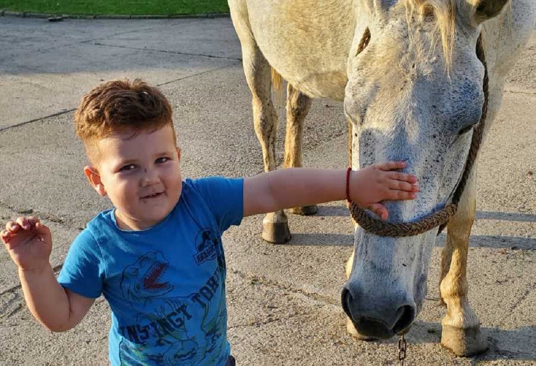 Jovan Ristic Slike Nesvakidašnje sklonosti Jovana Ristića (4) iz Gradiške