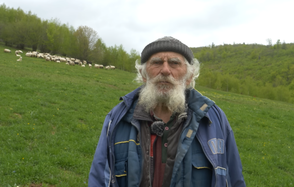 Najstariji ovčar u BiH 