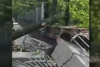 JAK VJETAR PRAVIO PROBLEME Drvo se srušilo na betonsku ogradu kod Kliničkog centra