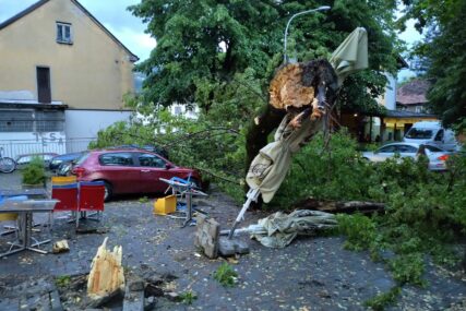 Jak vjetar napravio pometnju: Srušilo se stablo u Obilićevu, nema povrijeđenih (FOTO)