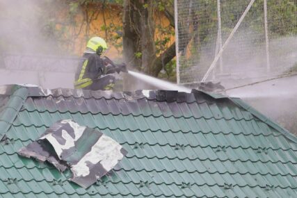PUNE RUKE POSLA Vatrogasci u Hercegovini gasili požare i uklanjali zmije