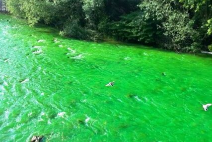 Rijeka obojena u fluoriscentno zelenu boju