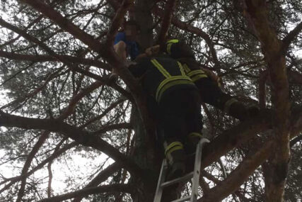 Nesvakidašnja akcija banjalučkih vatrogasaca: Spasli dječaka koji se popeo na drvo u školskom dvorištu (FOTO)