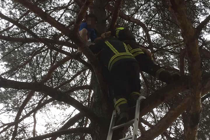 Spašavanje dječaka sa drveta