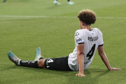 Ampadu na travi