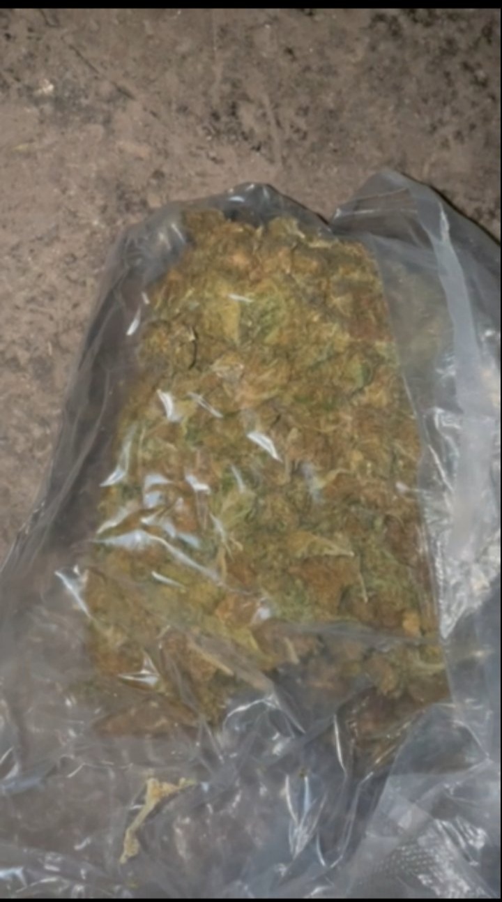 Marihuana i mačeta zaplijenjeni u akciji 
