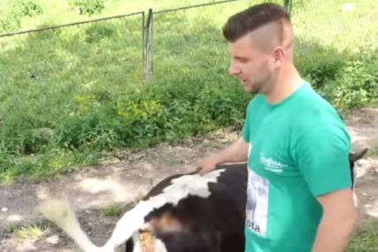 Svog posla se ne stidi: Vrijedni mladić radi 8 časova, a onda čuva krave, ovce i bavi se poljoprivredom (VIDEO)