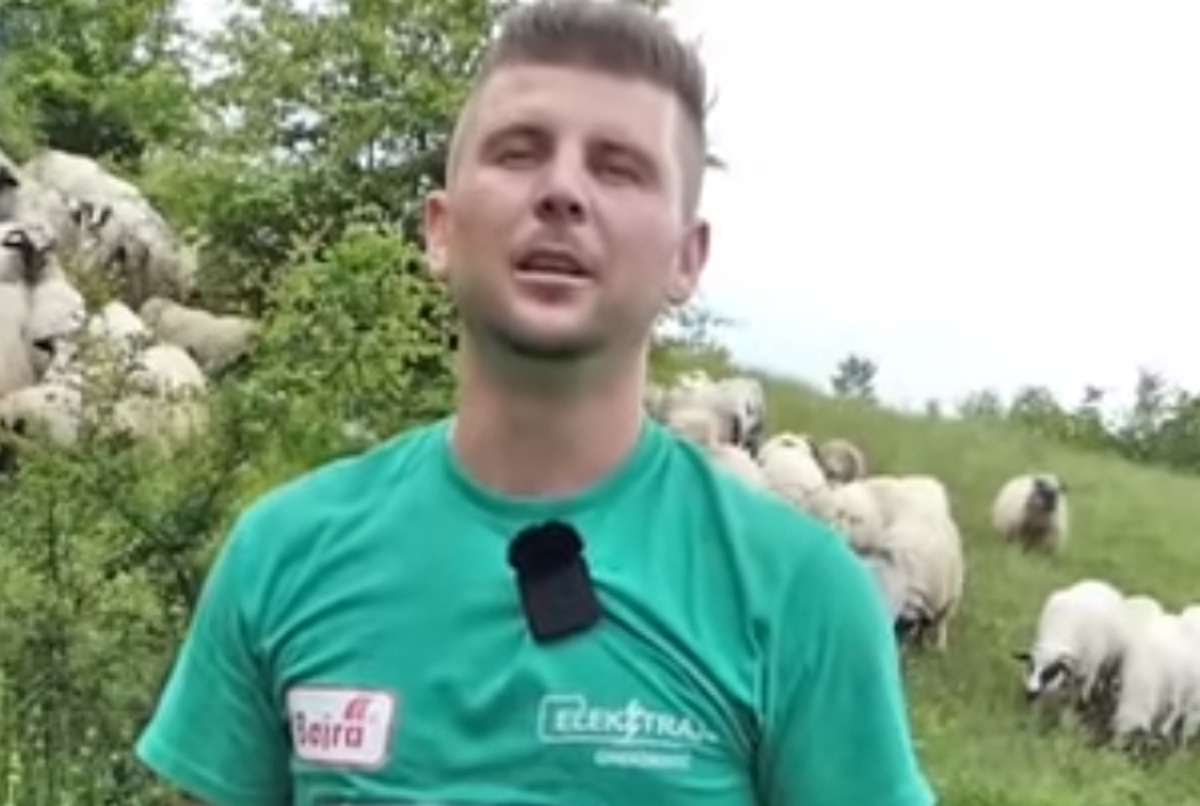 POBJEDNIK DANA Alen Haznedarevi Srpskainfo