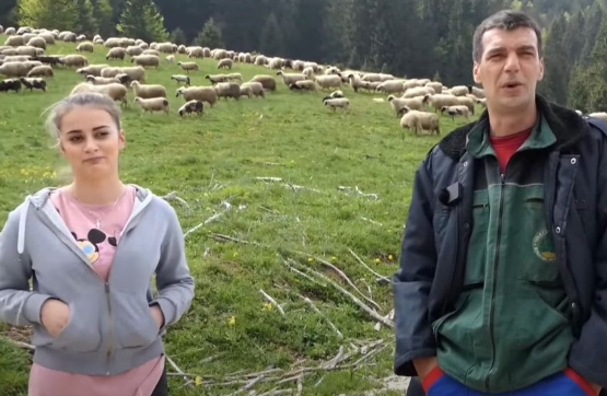 Otac i kćerka koji čuvaju 500 ovaca