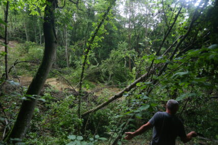 U šumi iznad kuće otkrili klizište: Buka pucanja drveća i pomjeranja zemlje ih prestravila (FOTO)
