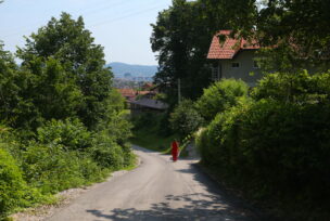 Kosovska ulica Lauš