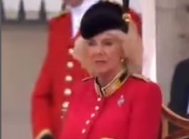 Glavna podrška suprugu na manifestaciji: Crvena kaput-haljina kraljice Karoline  ima posebno značenje (VIDEO,FOTO)