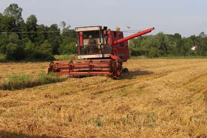 Pomoć od 10 miliona KM za poljoprivrednike Srpske "Na zadovoljstvo ovogodišnji prinos pšenice je odličan"