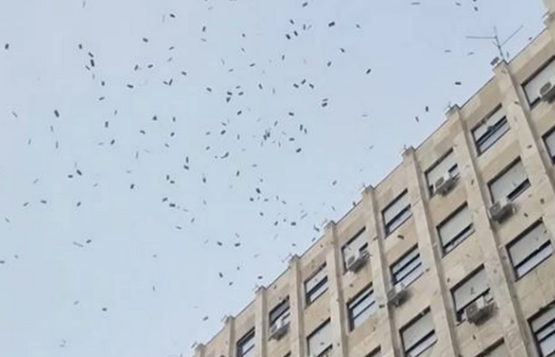 Lete pare sa zgrade u Knez Mihailovoj u Beogradu