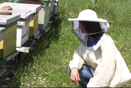 Marija je jedina žena pčelar: Prije pet godina se prvi put susrela sa pčelama, a sada proizvodi više od 900 kila meda (VIDEO)