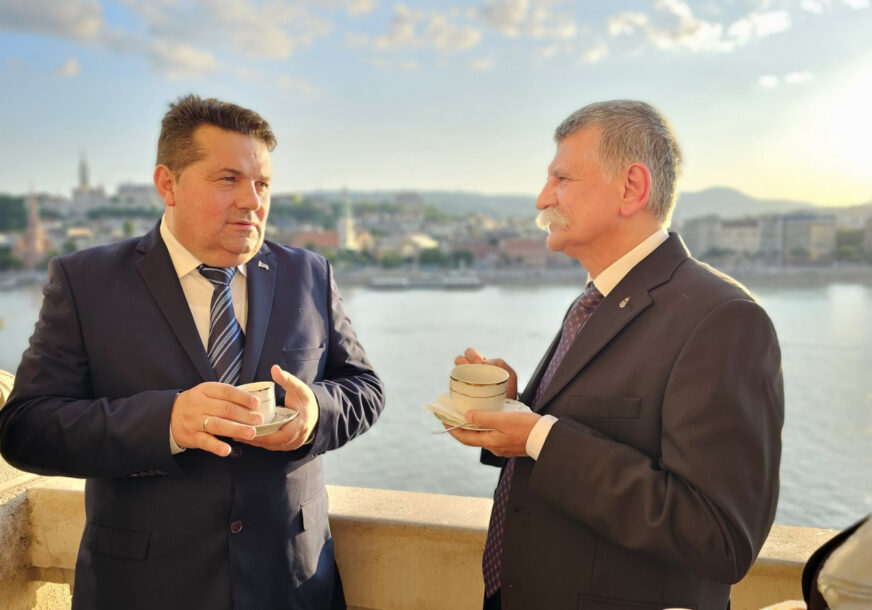 Predsjednik Narodne skupštine Republike Srpske Nenad Stevandić na sastanku sa predsjednikom parlamenta Mađarske Laslom Koverom u Budimpešti