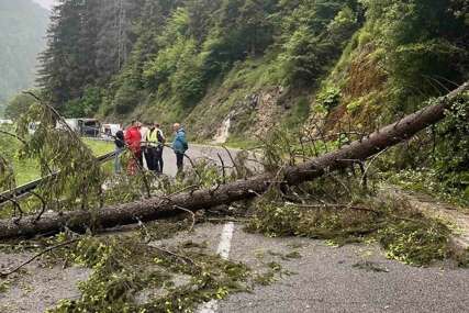 Izbjegnuta tragedija: Uspostavljen saobraćaj na magistralnom putu kod Nove Varoši, nakon pada stabla