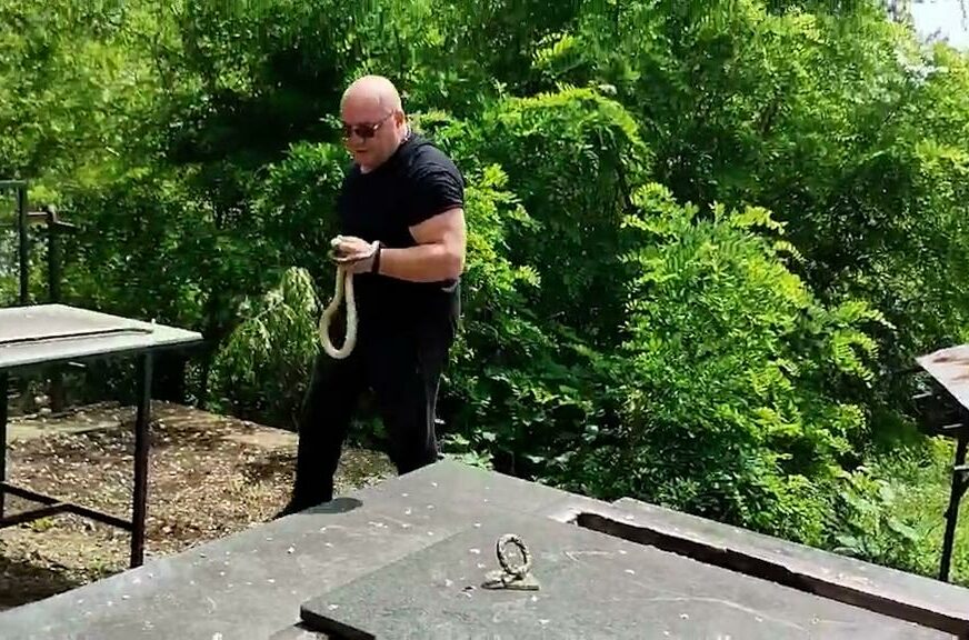 Čovjek izvaio zmije iz groba