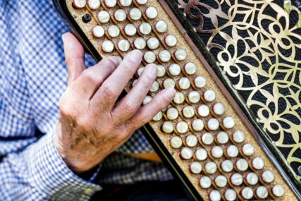 harmonikaš svira na instrumentu