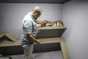 Hotel za mačke i pse u turskoj Bursi