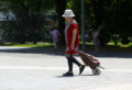 ljeto sunce penzioner vrućina