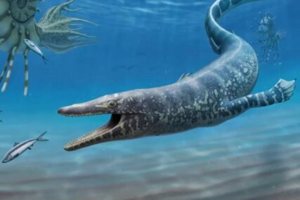 Naučnici pronašli fosil praistorijske životinje