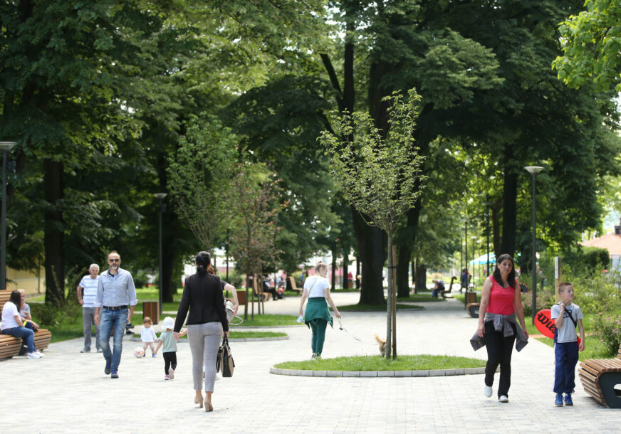 park mladen stojanović , fontana 