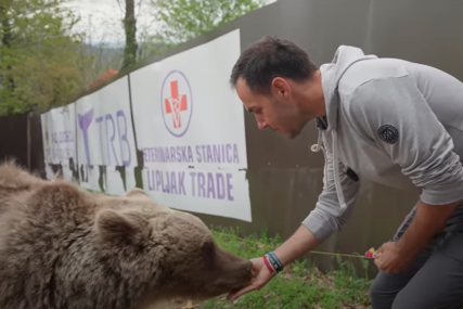 Robert Dacešin u novoj avanturi: Proveo 24 časa u društvu medvjeda i vukova (VIDEO)