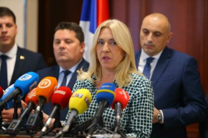 Cvijanovićeva o situaciji na KiM "Ne možemo biti imuni na teror nad srpskim narodom"