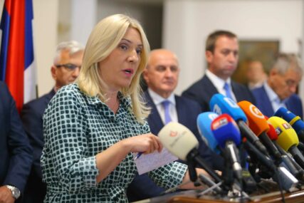 Željka Cvijanović
