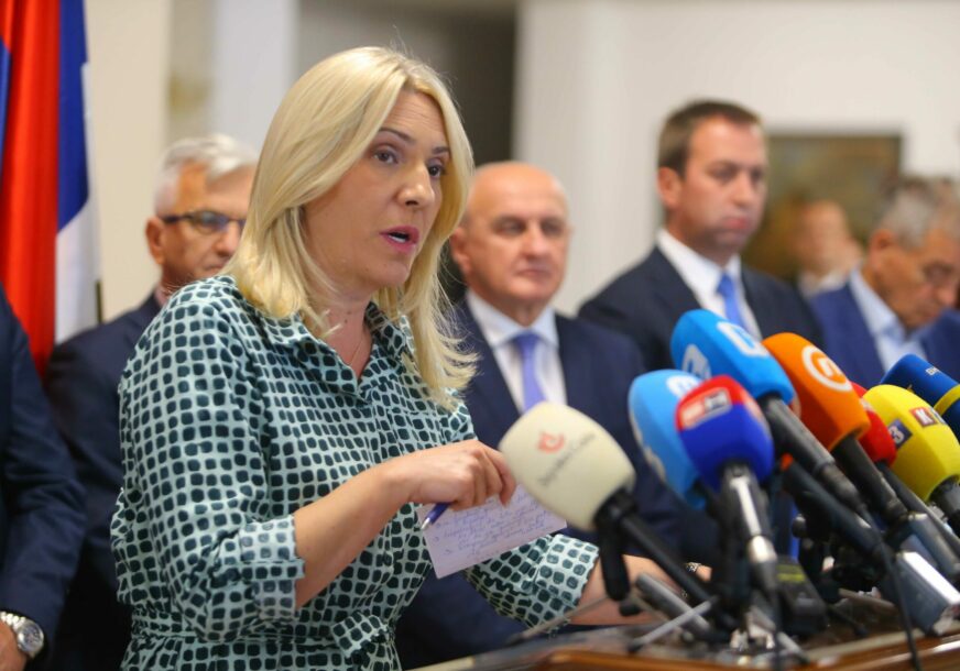 Željka Cvijanović