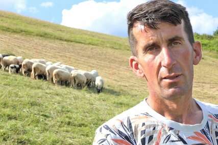 "Ovdje ću dovesti 1.000 ovaca i 500 goveda" Pastir iz Zenice ima velike planove i želi da ostvari svoje snove (VIDEO)