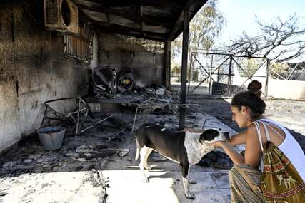 Šteta nakon požara u Grčkoj zbog visokih temperatura