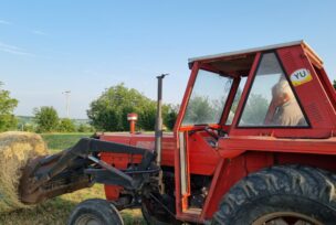 kupljenje sijena traktorom
