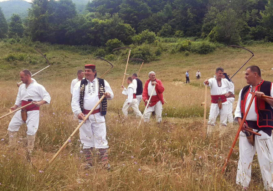 Manifestacija Dani kosidbe na Balkani